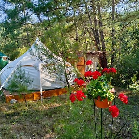 Vinsan Glamping & Wellness Centre Hotell Eleousa Eksteriør bilde