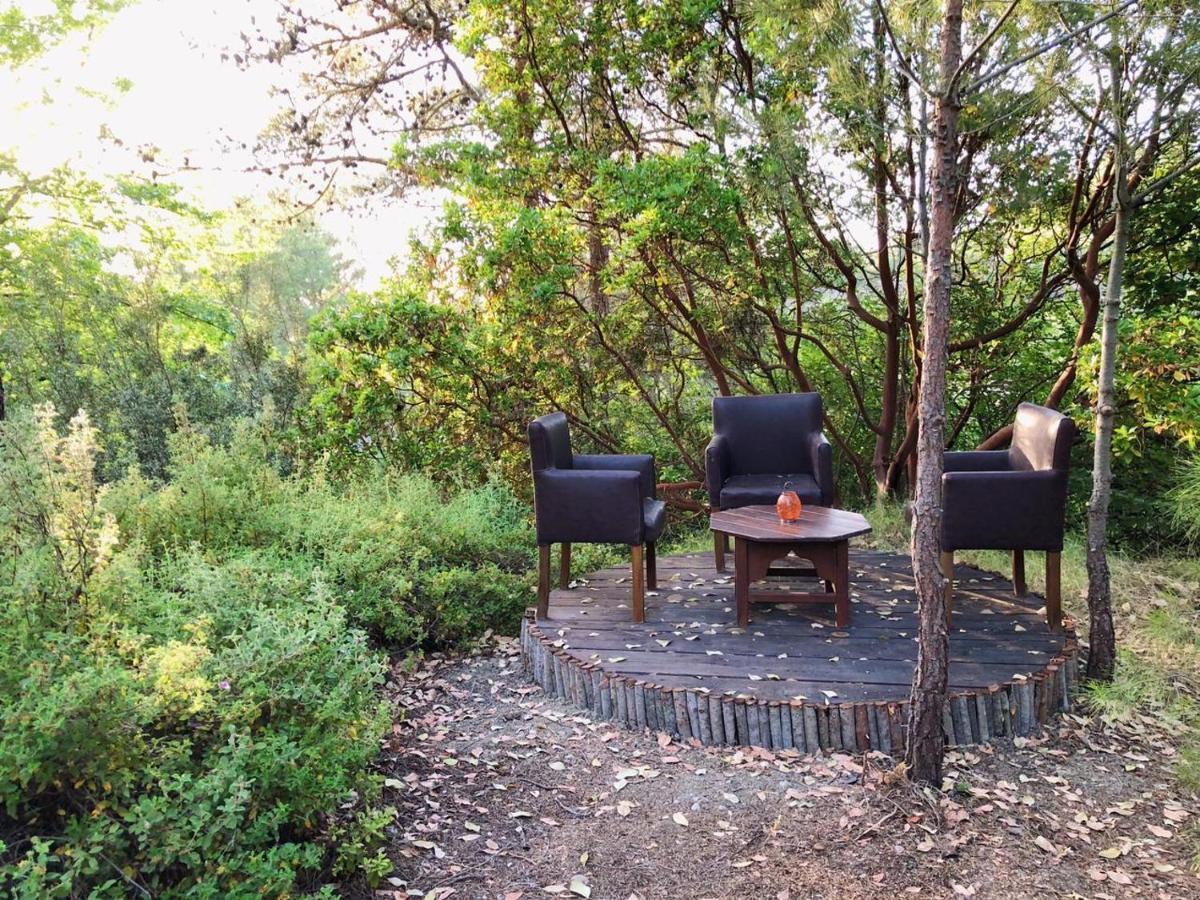 Vinsan Glamping & Wellness Centre Hotell Eleousa Eksteriør bilde