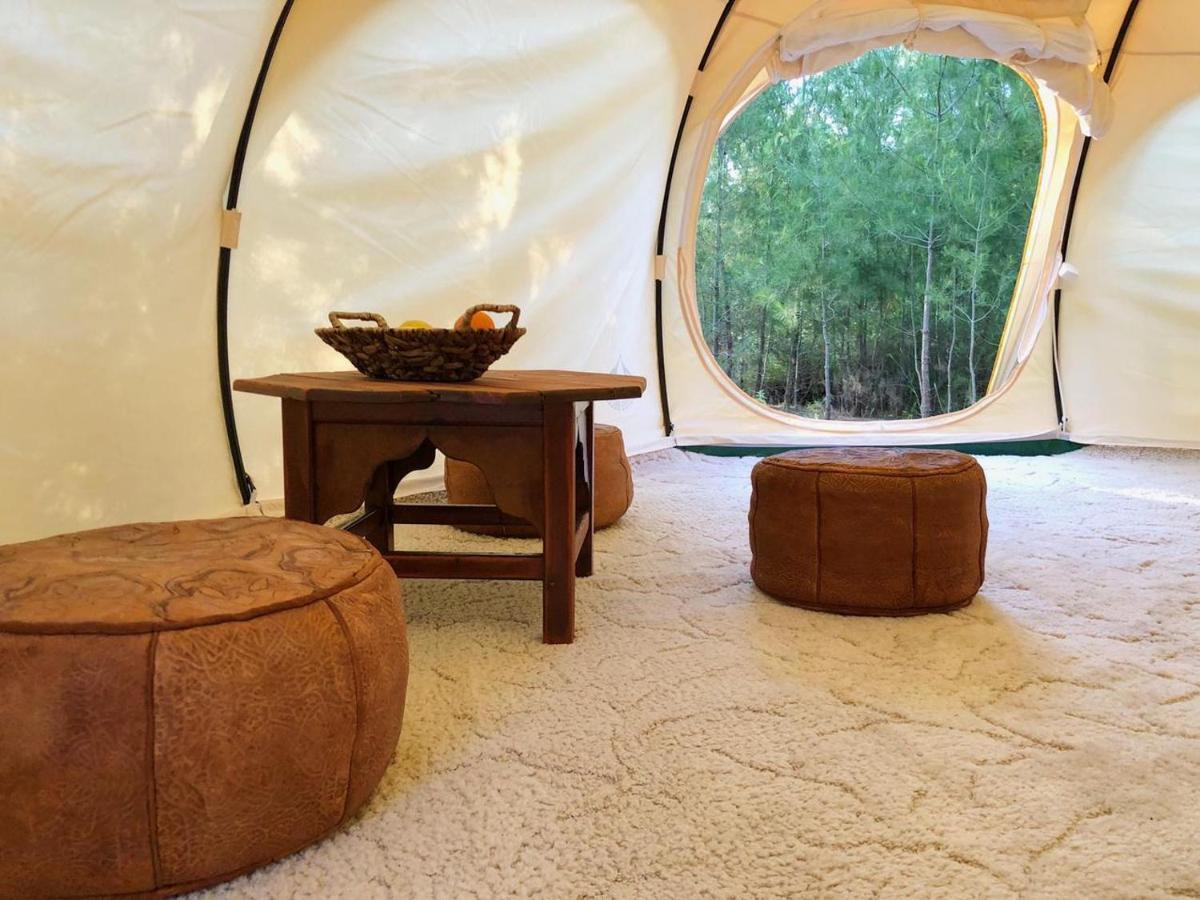 Vinsan Glamping & Wellness Centre Hotell Eleousa Eksteriør bilde