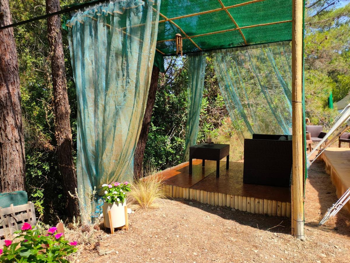 Vinsan Glamping & Wellness Centre Hotell Eleousa Eksteriør bilde