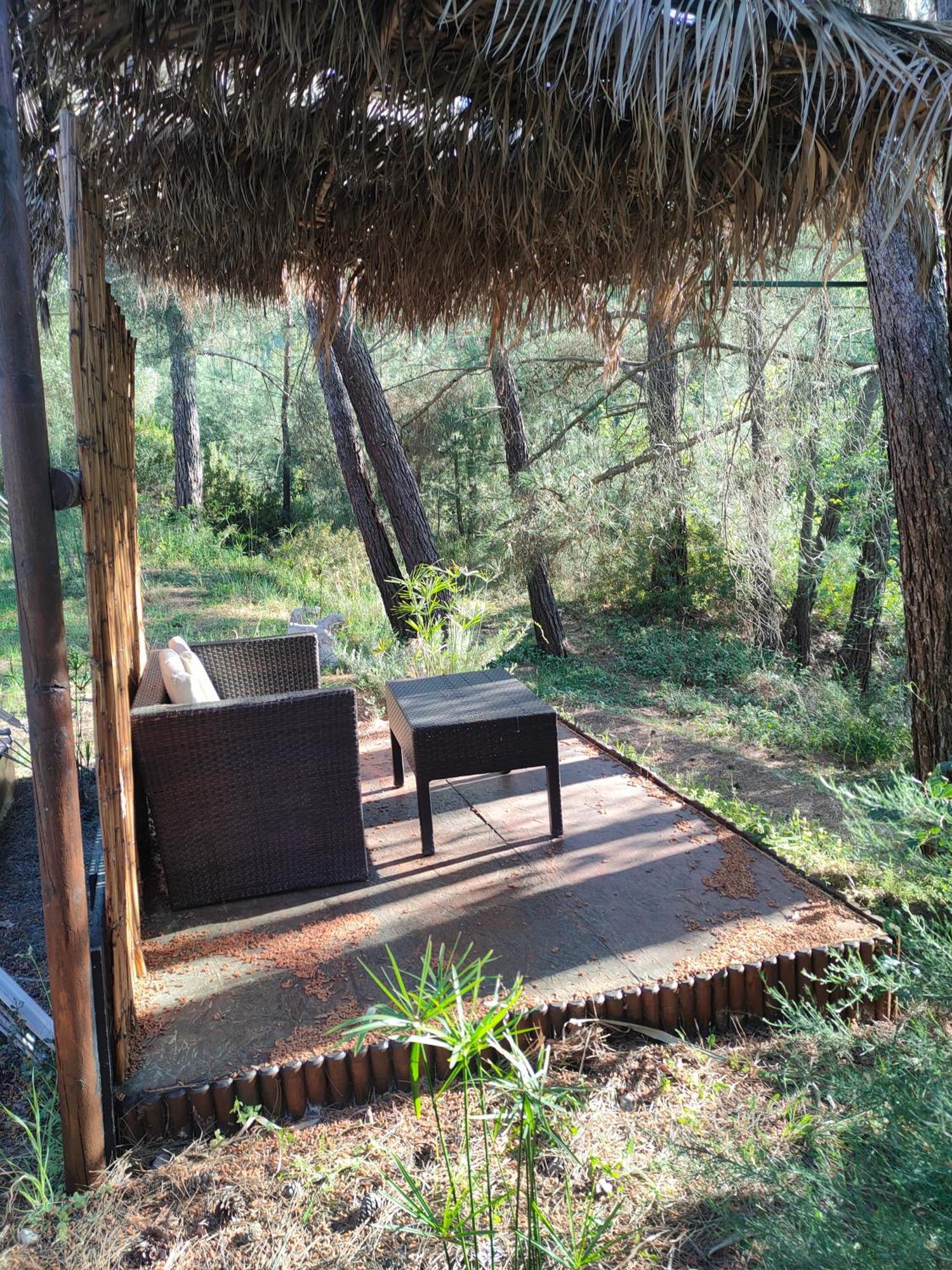 Vinsan Glamping & Wellness Centre Hotell Eleousa Eksteriør bilde